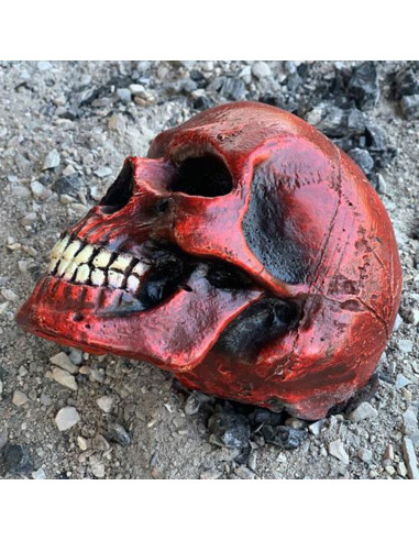 Uitschakelen Bezienswaardigheden bekijken ik heb dorst Middelgrote rode schedel ⚔️ Tienda Medieval